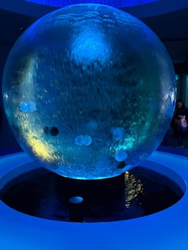 新江ノ島水族館に投稿された画像（2025/11/15）