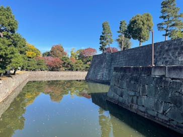 元離宮二条城に投稿された画像（2025/11/15）