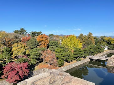 元離宮二条城に投稿された画像（2025/11/15）