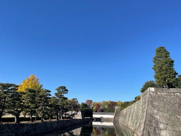 元離宮二条城に投稿された画像（2025/11/15）