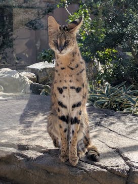 那須どうぶつ王国に投稿された画像（2025/11/15）