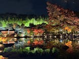 国営昭和記念公園 秋の夜散歩に投稿された画像（2025/11/15）