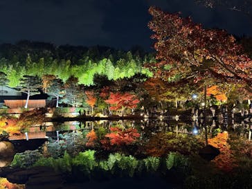 国営昭和記念公園 秋の夜散歩に投稿された画像（2025/11/15）