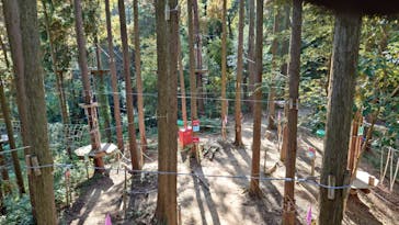 冒険の森おうじに投稿された画像（2025/11/15）