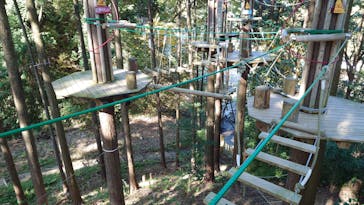 冒険の森おうじに投稿された画像（2025/11/15）