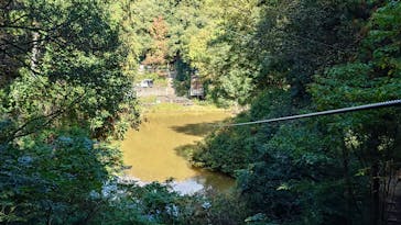 冒険の森おうじに投稿された画像（2025/11/15）