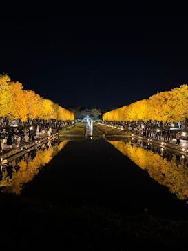 国営昭和記念公園 秋の夜散歩に投稿された画像（2025/11/15）