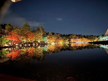 国営昭和記念公園 秋の夜散歩に投稿された画像（2025/11/15）