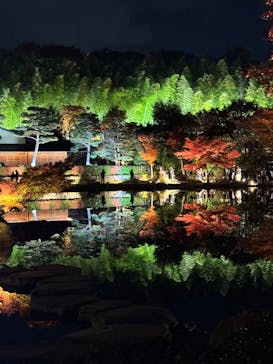 国営昭和記念公園 秋の夜散歩に投稿された画像（2025/11/15）