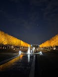 国営昭和記念公園 秋の夜散歩に投稿された画像（2025/11/15）