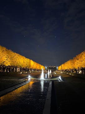 国営昭和記念公園 秋の夜散歩に投稿された画像（2025/11/15）