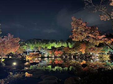 国営昭和記念公園 秋の夜散歩に投稿された画像（2025/11/15）