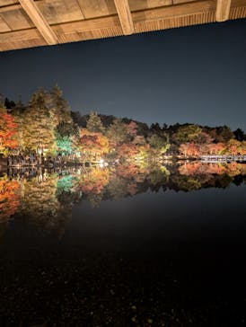 国営昭和記念公園 秋の夜散歩に投稿された画像（2025/11/15）