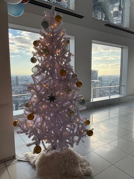 梅田スカイビル・空中庭園展望台に投稿された画像（2025/11/15）