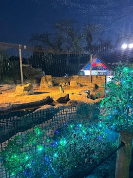 東武動物公園に投稿された画像（2025/11/15）