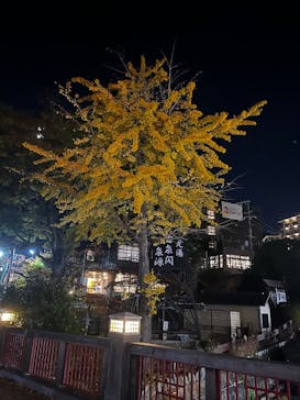 有馬温泉 太閤の湯に投稿された画像（2025/11/15）