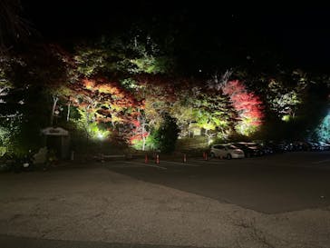 有馬温泉 太閤の湯に投稿された画像（2025/11/15）