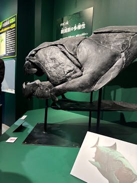特別展「大絶滅展―生命史のビッグファイブ」に投稿された画像（2025/11/15）