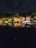 国営昭和記念公園 秋の夜散歩に投稿された画像（2025/11/15）