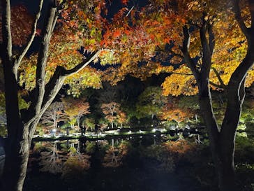 国営昭和記念公園 秋の夜散歩に投稿された画像（2025/11/15）