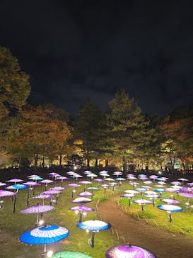 国営昭和記念公園 秋の夜散歩に投稿された画像（2025/11/15）