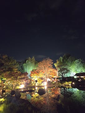 国営昭和記念公園 秋の夜散歩に投稿された画像（2025/11/15）