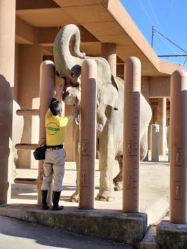 名古屋市東山動植物園に投稿された画像（2025/11/15）