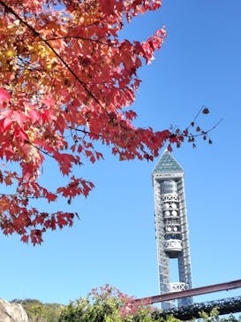 名古屋市東山動植物園に投稿された画像（2025/11/15）