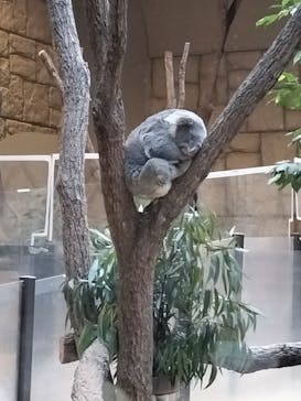 名古屋市東山動植物園に投稿された画像（2025/11/15）