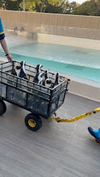 マリンワールド海の中道に投稿された画像（2025/11/15）