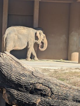 名古屋市東山動植物園に投稿された画像（2025/11/15）