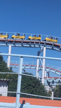 名古屋市東山動植物園に投稿された画像（2025/11/15）