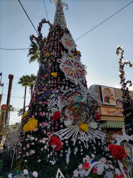 ひらかたパークに投稿された画像（2025/11/15）