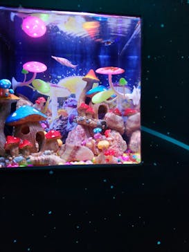 ひらかたパークに投稿された画像（2025/11/15）