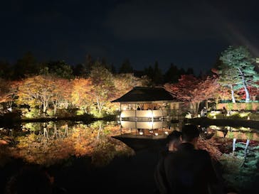 国営昭和記念公園 秋の夜散歩に投稿された画像（2025/11/15）