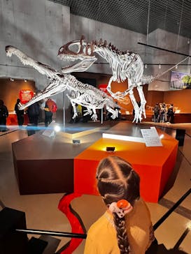 特別展「大絶滅展―生命史のビッグファイブ」に投稿された画像（2025/11/15）