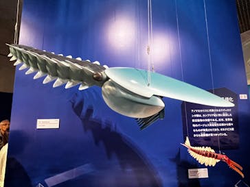 特別展「大絶滅展―生命史のビッグファイブ」に投稿された画像（2025/11/15）