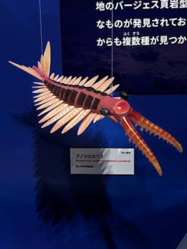 特別展「大絶滅展―生命史のビッグファイブ」に投稿された画像（2025/11/15）