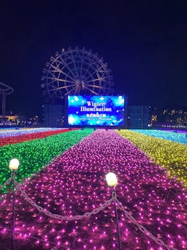 東武動物公園に投稿された画像（2025/11/15）