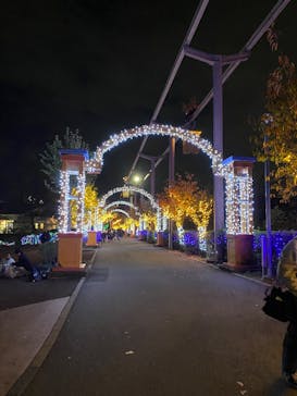 東武動物公園に投稿された画像（2025/11/15）