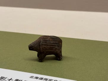 特別展　世界遺産　縄文に投稿された画像（2025/11/15）