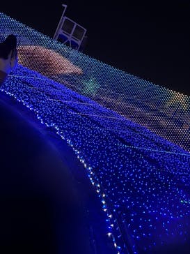 東京メガイルミに投稿された画像（2025/11/15）