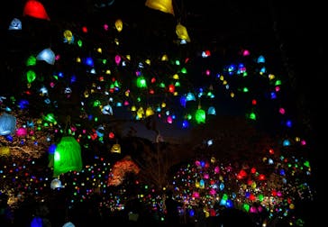 神戸六甲ミーツ・アート2025 beyondに投稿された画像（2025/11/15）