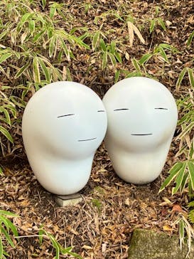 神戸六甲ミーツ・アート2025 beyondに投稿された画像（2025/11/15）