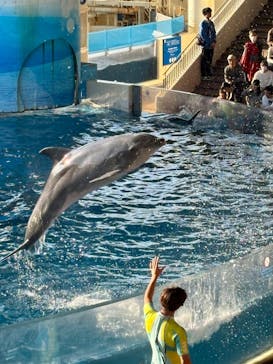 新江ノ島水族館に投稿された画像（2025/11/15）