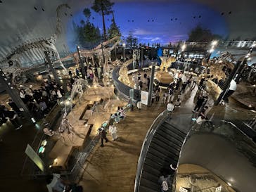 福井県立恐竜博物館に投稿された画像（2025/11/15）