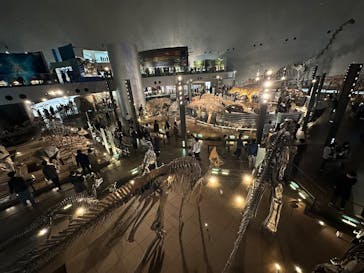 福井県立恐竜博物館に投稿された画像（2025/11/15）