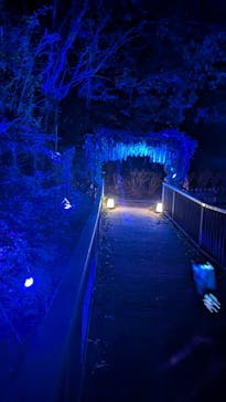 ニジゲンノモリに投稿された画像（2025/11/15）