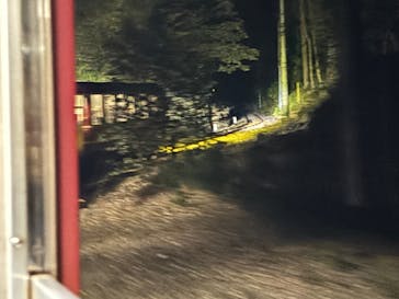 大井川鐵道株式会社に投稿された画像（2025/11/15）