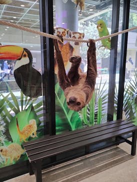 アニタッチ 東京ドームシティに投稿された画像（2025/11/15）